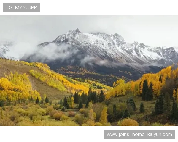 纽卡斯尔门前补射定格胜利瞬间——无尽激情，永恒回忆