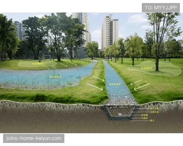 足球场馆生态绿化：雨水花园与热岛效应缓解案例，足球场建植